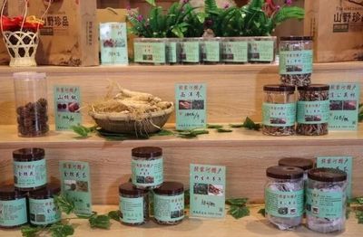 勉縣精準扶貧農特產體驗館落戶諸葛古鎮，融合科技賦能鄉村振興