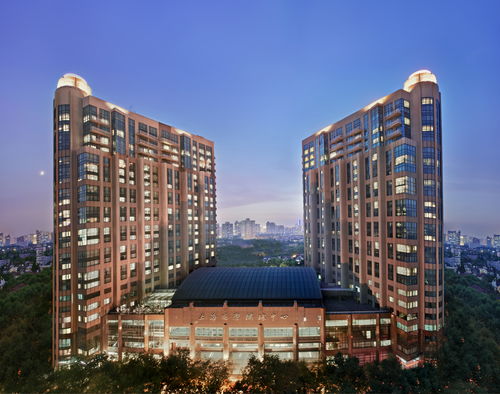 久事衡山大酒店 全面升級煥新顏，餐飲管理再塑滬上地標新體驗